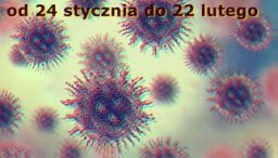 Wirus 24 stycznia